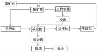 一種低品位金礦生物堆淋提金方法與流程