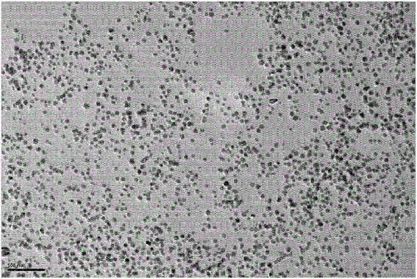 納米金屬顆粒及其制備方法與流程