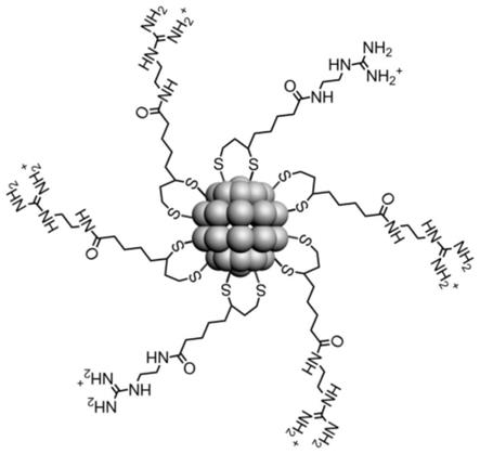 正電性金納米簇及其制備方法與應(yīng)用