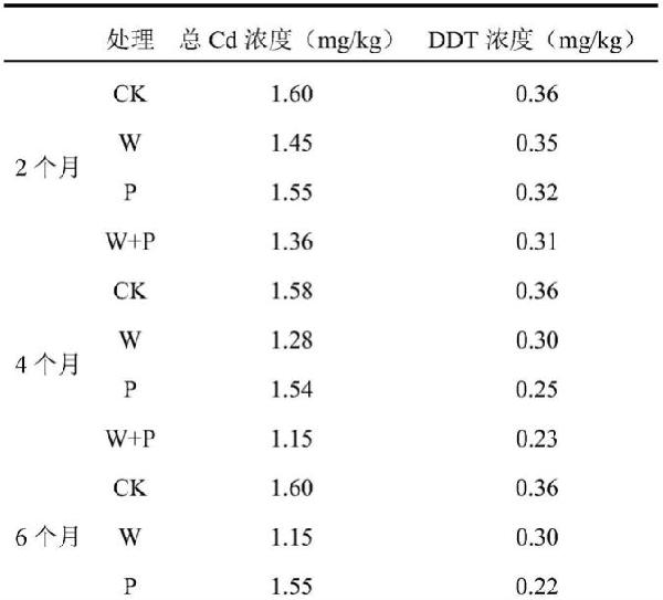 植物微生物聯(lián)合修復重金屬與有機物復合污染土壤的方法與流程