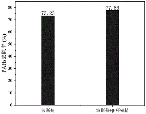 環(huán)糊精強(qiáng)化植物修復(fù)有機(jī)物污染土壤的方法與流程