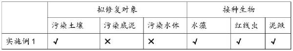 利用水生生物修復復合污染土壤、水體或底泥的方法與流程