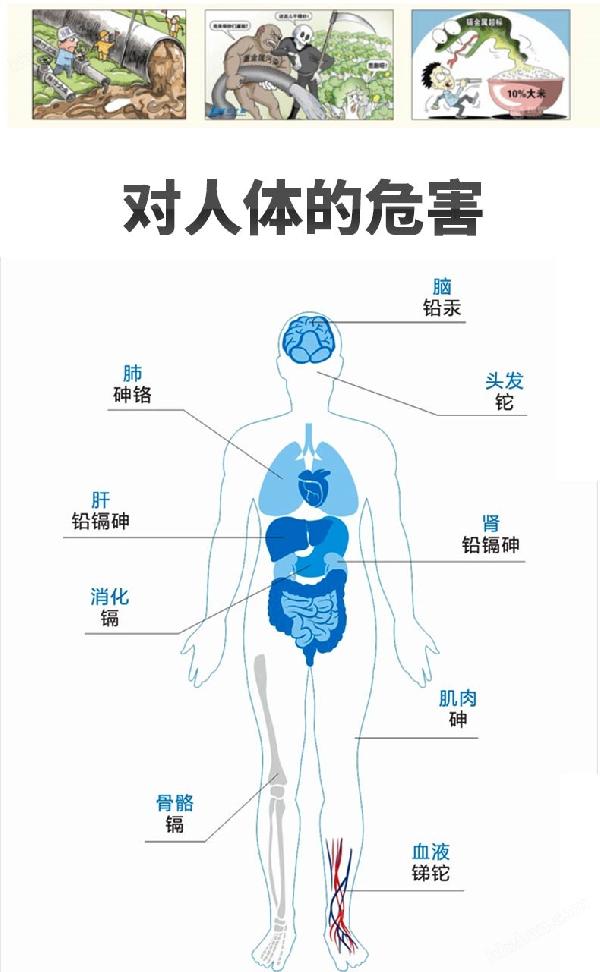 重金屬污染危害