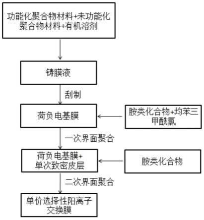 一種單價(jià)選擇性陽離子交換膜及其制備方法與應(yīng)用