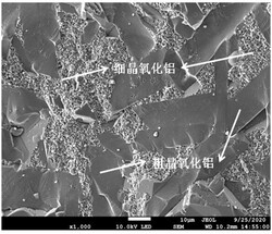 具有粗晶-細晶復合顯微結(jié)構(gòu)特征的氧化鋁陶瓷及其應(yīng)用