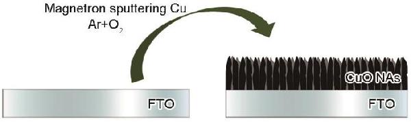 CuO納米陣列結(jié)構(gòu)光陰極的制備及其光電化學(xué)分解水的性能