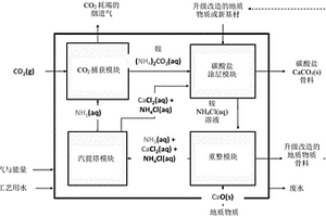 地質(zhì)物質(zhì)介導(dǎo)的碳封存材料產(chǎn)生方法以及用于實施所述方法的系統(tǒng)