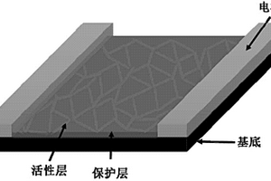 具有網(wǎng)狀鈣鈦礦納米線的光電探測(cè)器及其制備方法