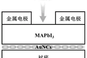 基于等離激元效應(yīng)的鈣鈦礦弱光探測器