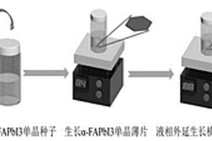 自驅(qū)動鈣鈦礦橫向單晶異質(zhì)結(jié)光電探測器及制備方法