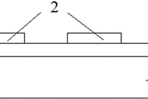 二維層狀有機-無機復(fù)合鈣鈦礦材料光探測器及制作方法