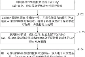 微米線陣列高性能鈣鈦礦型光電探測器、制備方法及應用