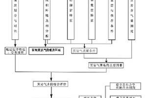 頁巖氣單井地質(zhì)綜合評價方法