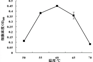 半乳糖地質(zhì)桿菌BWTGW1.1及其應(yīng)用