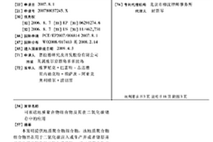 可泵送地質(zhì)聚合物組合物及其在二氧化碳儲(chǔ)存中的應(yīng)用