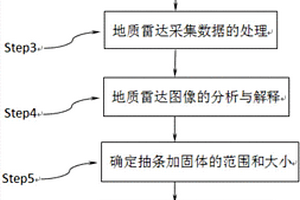 抽條加固評價方法