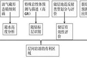 碳酸鹽層間巖溶型儲(chǔ)層布井方法