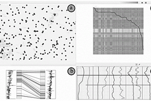 基于多維測(cè)井?dāng)?shù)據(jù)的地層匹配可視分析方法