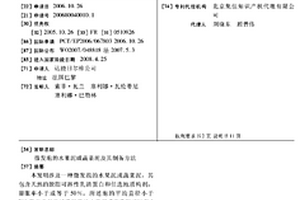 微發(fā)泡的水果泥或蔬菜泥及其制備方法