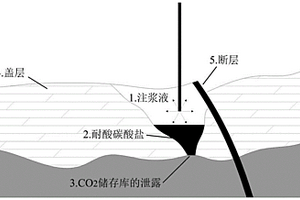 用于修復(fù)深部地層CO2泄露的化學(xué)注漿液及其制備方法