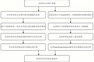 基于反射率和粗糙度的焦瀝青光學(xué)結(jié)構(gòu)定量表征方法