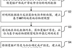 基于AMT的菱錳礦成礦強(qiáng)度定量預(yù)測(cè)方法及系統(tǒng)