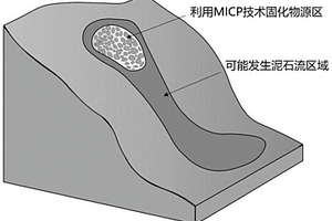 基于原位激發(fā)微生物固化技術(shù)的泥石流防治方法