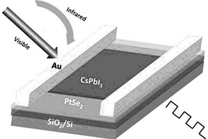 PtSe<Sub>2</Sub>/CsPbI<Sub>3</Sub>異質(zhì)結(jié)光電探測器及其制備方法和應(yīng)用