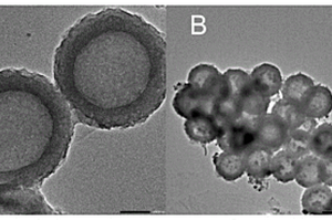 C<Sub>3</Sub>N<Sub>4</Sub>納米球負(fù)載全無機(jī)鈣鈦礦CsPbBr<Sub>3</Sub>的制備方法及其電致化學(xué)發(fā)光細(xì)胞傳感