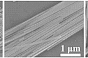 Sn摻雜CsPbI<sub>3</sub>納米帶在光電探測中的應(yīng)用