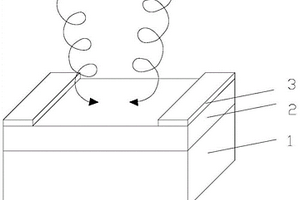 鐵電體圓偏振光伏效應(yīng)驅(qū)動(dòng)圓偏振光探測(cè)器及制備方法