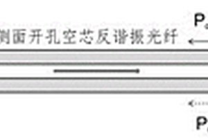 新型的準(zhǔn)分布式光纖氣體探測(cè)方法