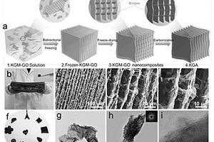 微納層狀空間微生物礦化及其作用機(jī)制的分析方法