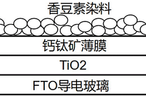 水系鈣鈦礦光電轉(zhuǎn)換系統(tǒng)