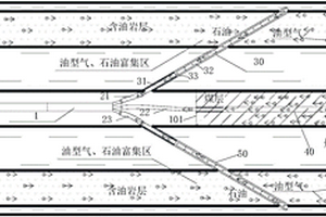 煤、油、氣共生煤礦瓦斯、油型氣、石油災(zāi)害防治結(jié)構(gòu)