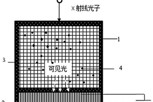 鈣鈦礦晶體/量子點(diǎn)復(fù)合閃爍體及其制備方法和應(yīng)用