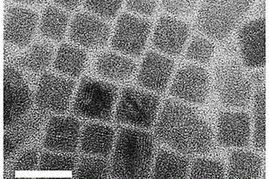 雙鈣鈦礦Cs<Sub>2</Sub>AgSbBr<Sub>6</Sub>納米晶體及合成和應(yīng)用