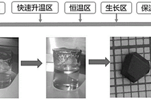 用于電離輻射能譜分辨的鈣鈦礦半導(dǎo)體晶體及其制備方法