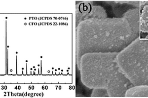 具有強(qiáng)磁電耦合效應(yīng)的二維單晶PbTiO<sub>3</sub>-CoFe<sub>2</sub>O<sub>4</sub>復(fù)合納米材料的制備方法