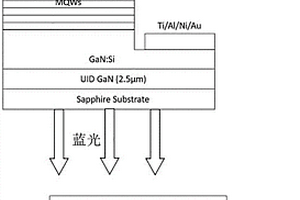 檢測NO<sub>2</sub>氣體的方法