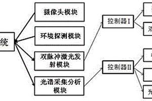 雙脈沖激光誘導(dǎo)擊穿光譜分析裝置及方法