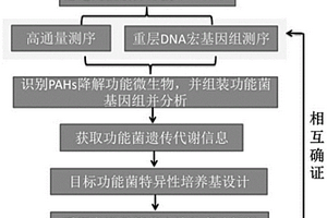 利用反向SIP-宏基因組學(xué)分離原位功能微生物方法