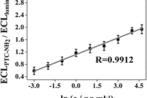 基于碳納米角及TiO<sub>2</sub>介晶納米材料的比率型電化學(xué)發(fā)光免疫傳感器的制備方法