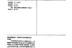 節(jié)能型橋式傳呼報(bào)警多用儀