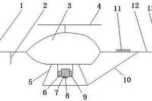 無(wú)人直升機(jī)航磁測(cè)量系統(tǒng)