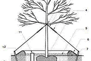 平地風(fēng)化巖排水結(jié)構(gòu)