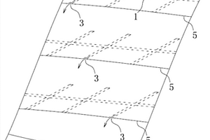 高山峽谷地區(qū)邊坡勘探平洞布置結(jié)構(gòu)