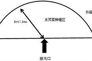 水芹菜凈水方法