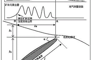 地氣與X熒光異常推斷偉晶巖稀有金屬礦延深方法