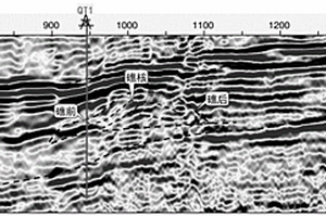 識(shí)別生物礁灘體的地震解釋方法